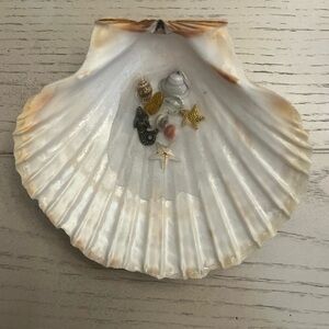 Decorative Seashell Dish with Assorted Miniature Accents